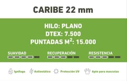 CARIBE 22mm